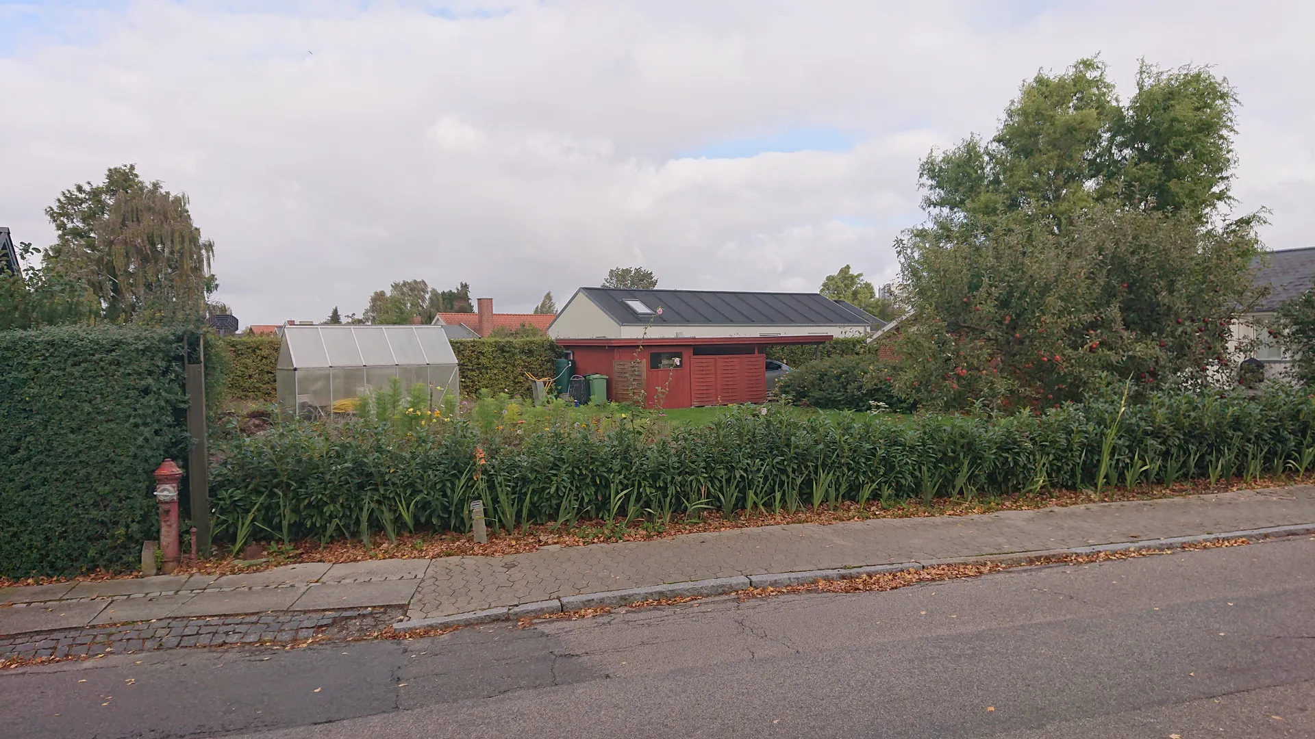 Fra hæk til færdigt haveanlæg i Skanderborg