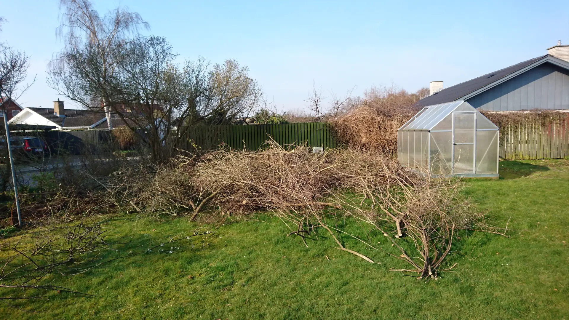 Afskårne grene samlet og klar til flishugning